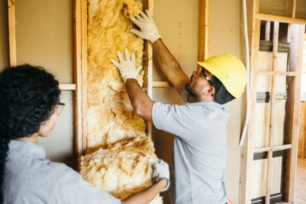 Best Spray Foam Insulation  in Pampa, TX